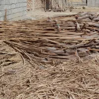 شاک برای کشت خیار|گل و گیاه طبیعی|کهنوج, |دیوار