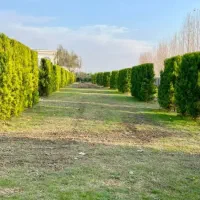 زمین-سند-تک-برگ-بالا-ست-خوش-قیمت