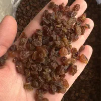 کشمش|خوردنی و آشامیدنی|قزوین, |دیوار