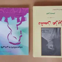 مجموعه ی مهارت های زندگی، رمان گوجه های سبز و