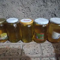 روغن دنبه