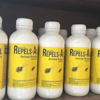 فروش سم قوی سوسک،موش،مورچه،مارمولک،ساس