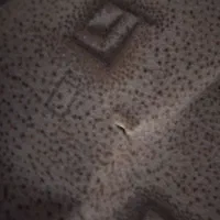 موکت۱۵متری|موکت|اهواز, سیصد دستگاه|دیوار