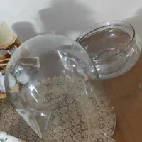 شیشه تراریوم|گل مصنوعی|تهران, سلسبیل شمالی|دیوار