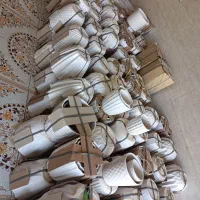 انواع گلدان سرامیکی ب قیمت عمده|گل و گیاه طبیعی|یزد, |دیوار