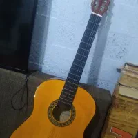 گیتار نو و سالم|گیتار، بیس، امپلیفایر|مشهد, مقدم|دیوار