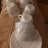 فنجون آرکوپال