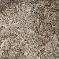 کرفس کوهی کلوس کوهی موسیرخشک|خوردنی و آشامیدنی|کوهرنگ, |دیوار