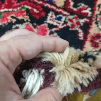 ۲عدد۹متری درحدنونو بارماخ طوخوش|فرش|تبریز, |دیوار