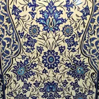 همکار خانم معماری