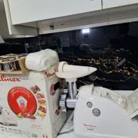 چرخ گوشت مولینکس فراسه اصلی