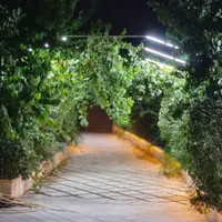 باغچه خونه باغ ۵۷۰متری تک خواب|فروش خانه و ویلا|تهران, عبدل‌آباد|دیوار