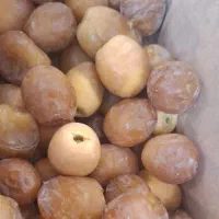 خرما بزمانی