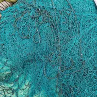 فروش تور شیری|ماهیگیری|بوشهر, |دیوار