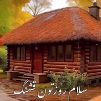 همخانه موجه خانم