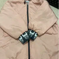 کاپشن|لباس|محمدشهر, محمدشهر|دیوار