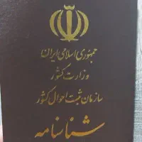 شناسنامه گم شده ، بنام نادر نیکدل