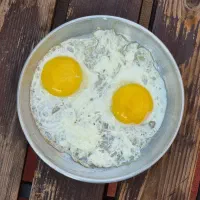 کارگر ساده خانم خوراک خانه