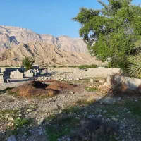 زمین کشاورزی ، روستای چاهستان|فروش دفتر صنعتی، کشاورزی، تجاری|تخت, |دیوار