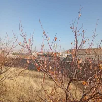 زین آباد ۳۲۰متر|فروش زمین و ملک کلنگی|صوفیان, |دیوار