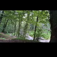 استخدام دائم همراه با سرمایه گذاری