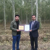 تا اتمام موجودی نـهال صـنــوبر با تخفیف شگفت‌انگیز