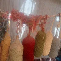 قالی دست بافت|فرش|رفسنجان, |دیوار