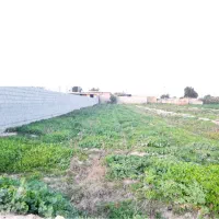 فروش زمین ۲۲۰۰ متری در شهر سرسبز سماله|فروش دفتر صنعتی، کشاورزی، تجاری|شوشتر, |دیوار