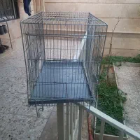 قفس ۵۲ حرفه ای|لوازم جانبی حیوانات|شاهینشهر, شهرک ردانی پور|دیوار