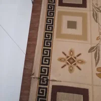 گلیم|گلیم، جاجیم، گبه|تربت جام, میان جام|دیوار