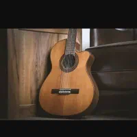 آموزش تخصصی گیتار در منزل شما