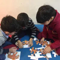 اماده همکاری برای تدریس دروس ابتدایی
