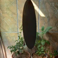 ساج درحدنو|ظروف پختوپز|گل تپه, |دیوار