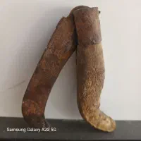 چاقوکلکسیونی