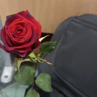 پاور پوینت مقاله ترجمه