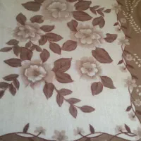 پتو|رختخواب، بالش، پتو|بندرعباس, |دیوار