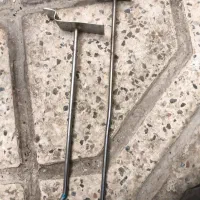 شاخک رگال ساده