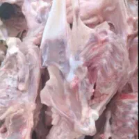 اسکلت تازه مرغ