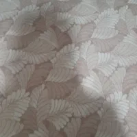 پا لازموکت ۶ متری