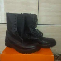 پوتین شاهین اصل