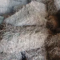 پرس یونجه فروشی