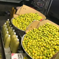 آبلیمو طبیعی