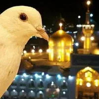 سفری مذهبی * زیارت مشهد مقدس* تور سیاحتی