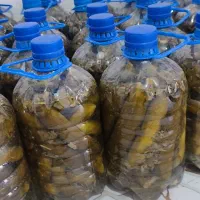 خیار شور خانگی درجه 1|خوردنی و آشامیدنی|مهاباد (آذربایجان غربی), |دیوار