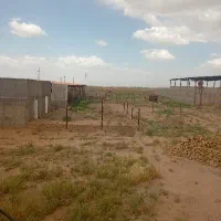اجاره-گاوداری-صنعتی-در-جاده-قزوین-بویین-زهرا