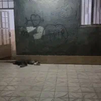 زمین‌تجار‌16قصب‌کمربندی‌شاهد