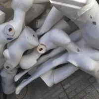 تعداد زیادی مانکن یکجا قیمت عالی