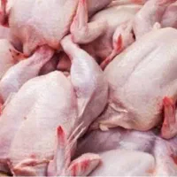 مرغ تلفاتی برای حیوانات گوشت خوار
