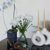 گیاهان آپارتمانی،فضای باز،گلدان،خاک،سم و کود|گل و گیاه طبیعی|مرودشت, مختارآباد|دیوار