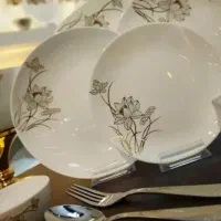 ارکوپال تکی وتعداد بالا به قیمت مناسب|ظروف سرو و پذیرایی|ری, ملک‌آباد|دیوار